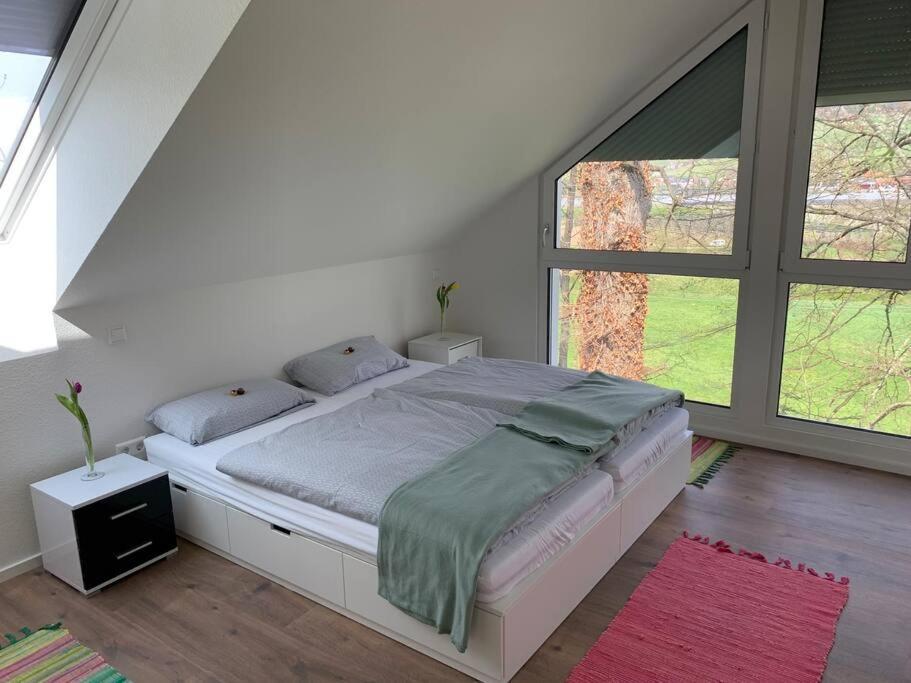 Wohnung Am Fusse Des Schwarzwalds Oberkirch  Exterior photo
